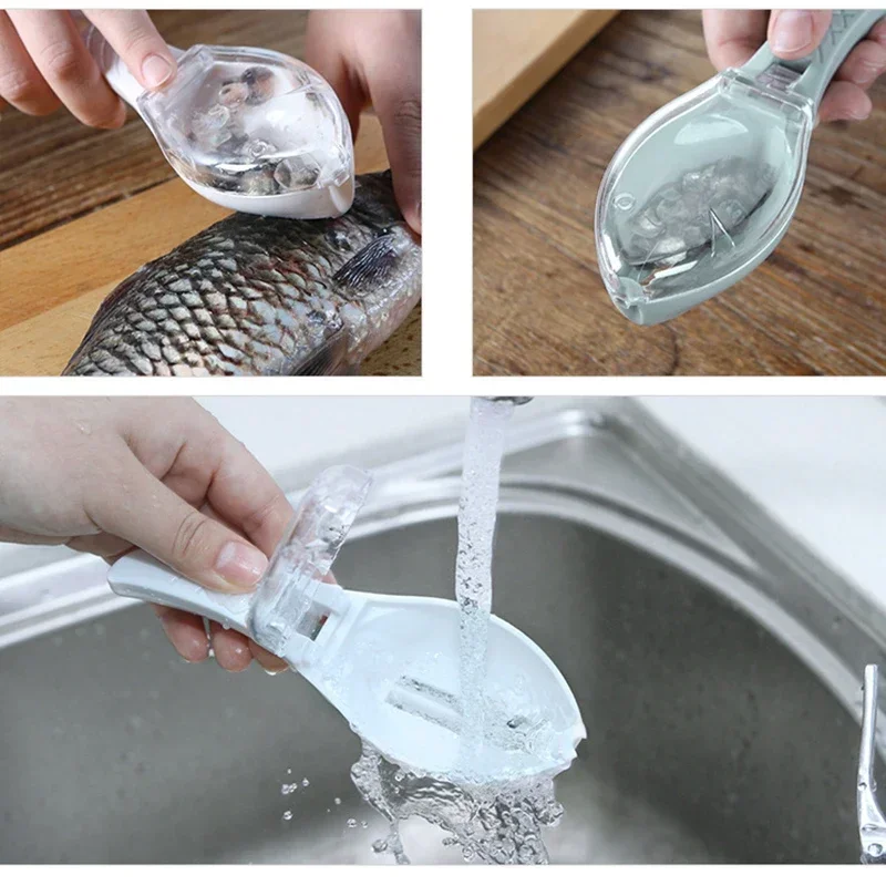 Râpes à écailles de poisson, g - Fishing Equipment Kitchener avis et prix