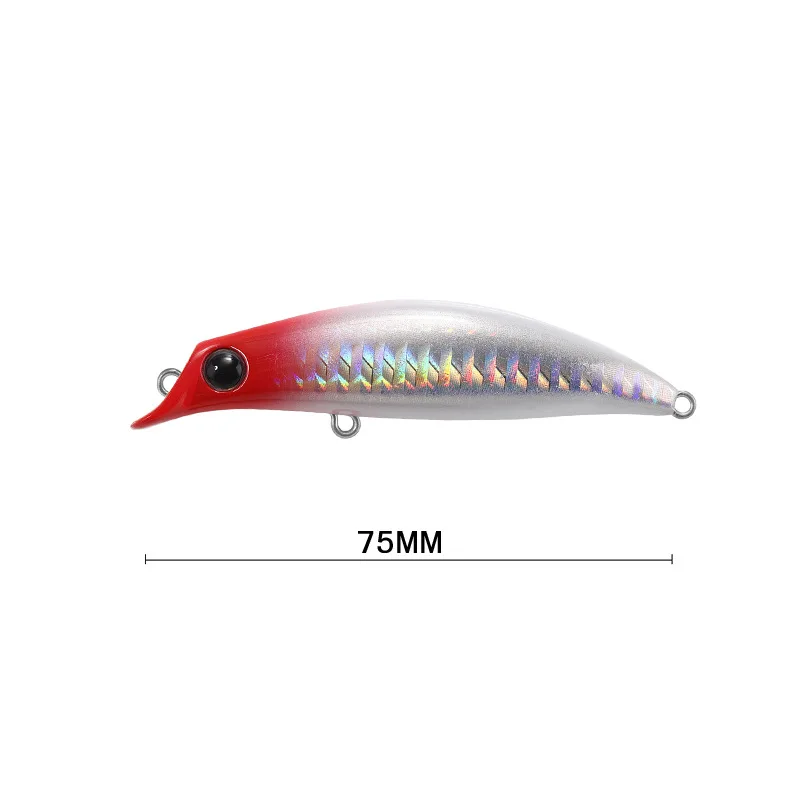 Appât dur flottant de concepti - Fishing Equipment Brands avis et prix